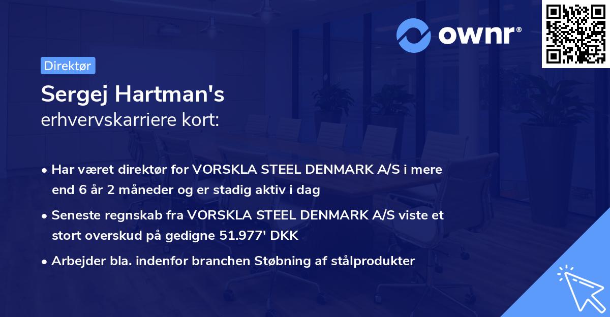 Sergej Hartman's erhvervskarriere kort