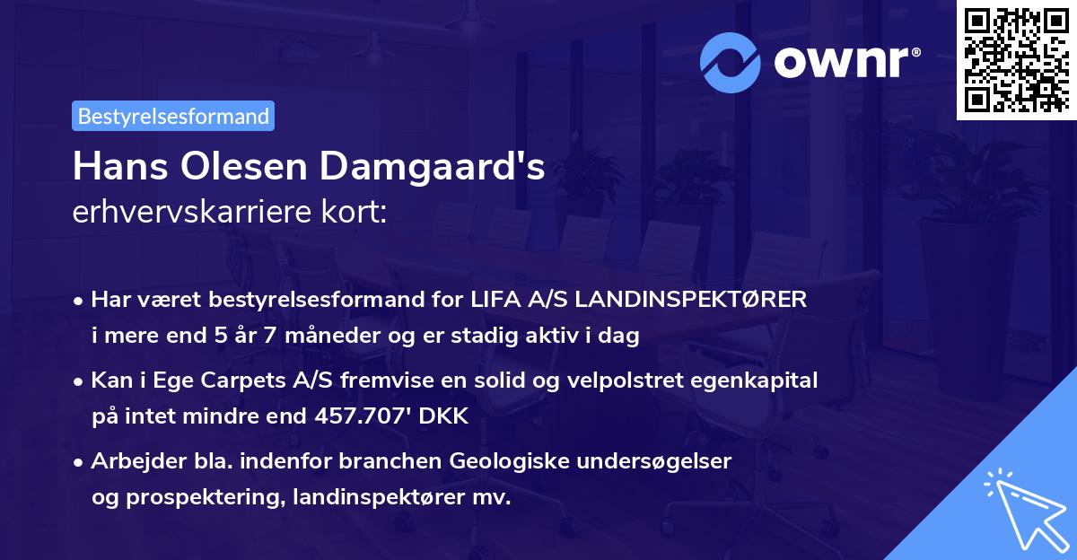 Hans Olesen Damgaard's erhvervskarriere kort