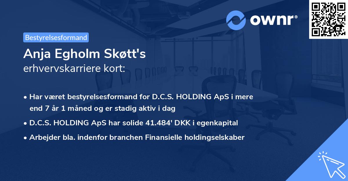 Anja Egholm Skøtt's erhvervskarriere kort