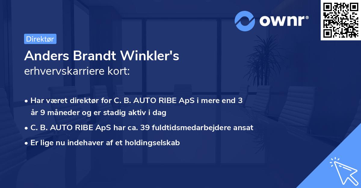 Anders Brandt Winkler's erhvervskarriere kort