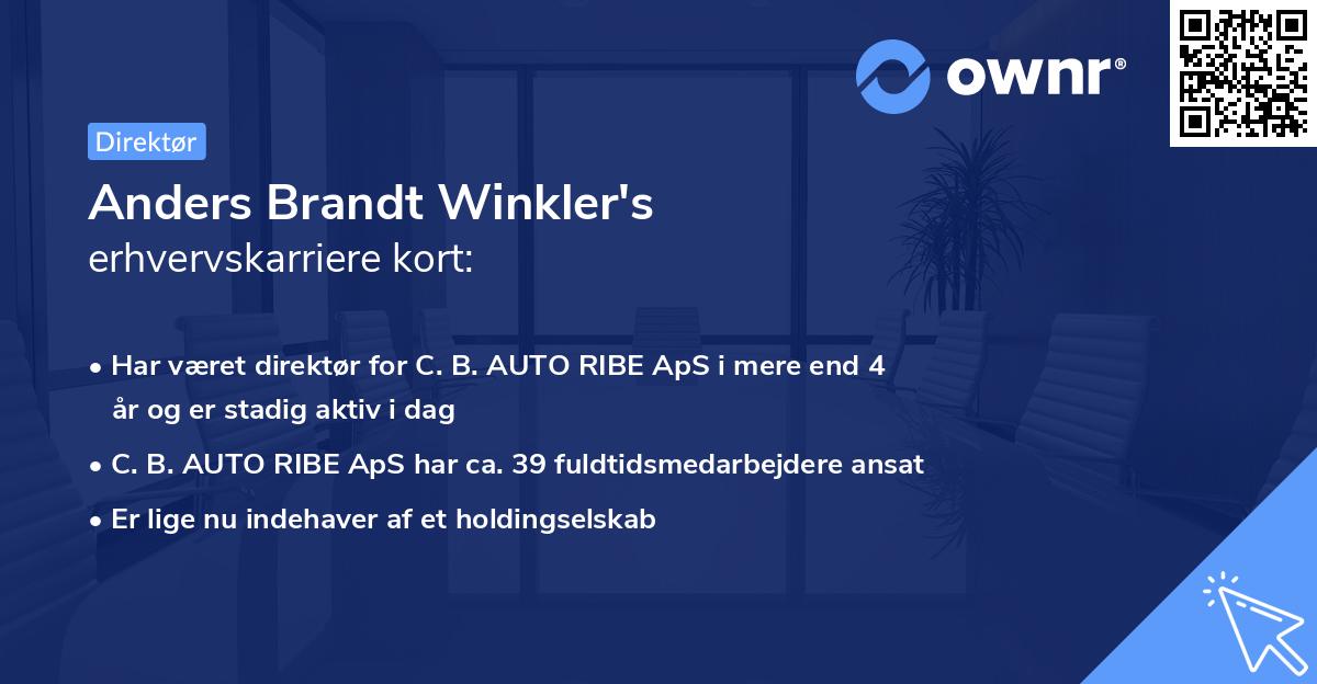 Anders Brandt Winkler's erhvervskarriere kort