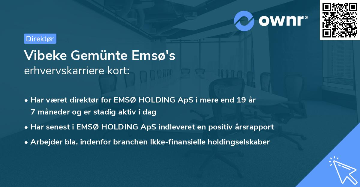 Vibeke Gemünte Emsø's erhvervskarriere kort