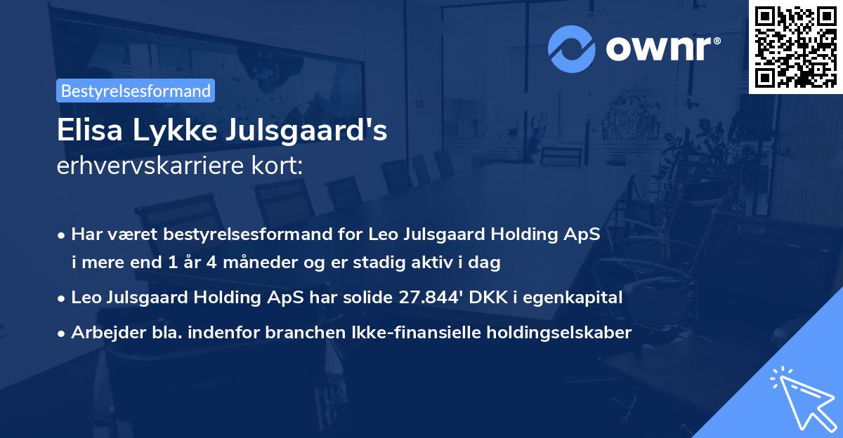 Elisa Lykke Julsgaard's erhvervskarriere kort