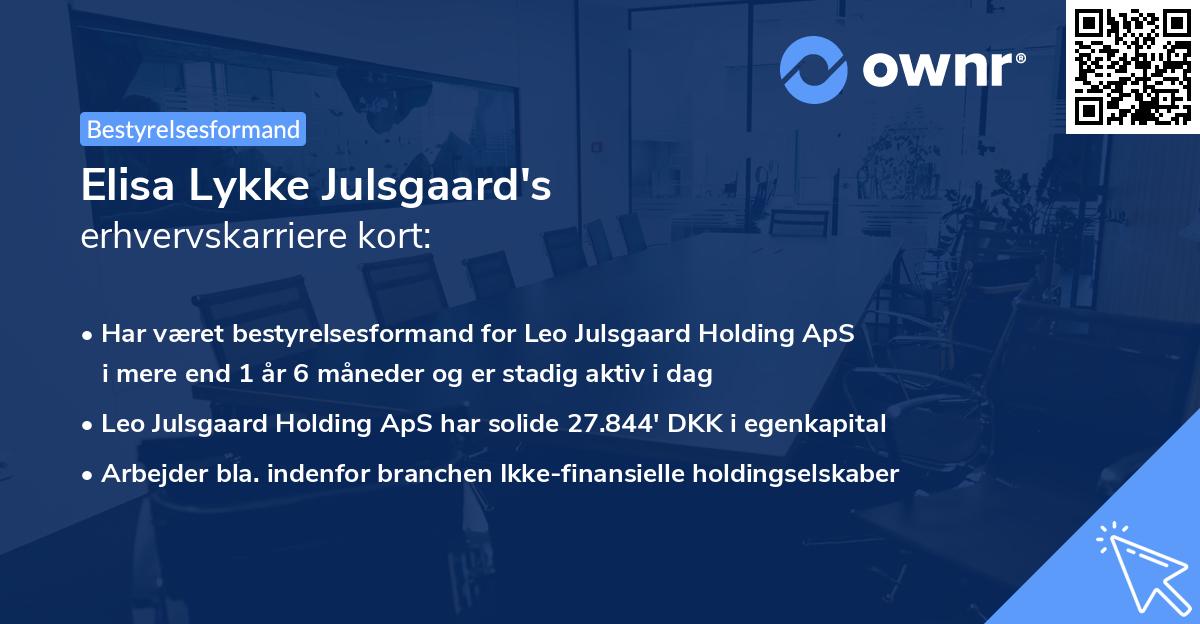 Elisa Lykke Julsgaard's erhvervskarriere kort