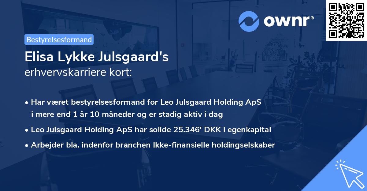 Elisa Lykke Julsgaard's erhvervskarriere kort