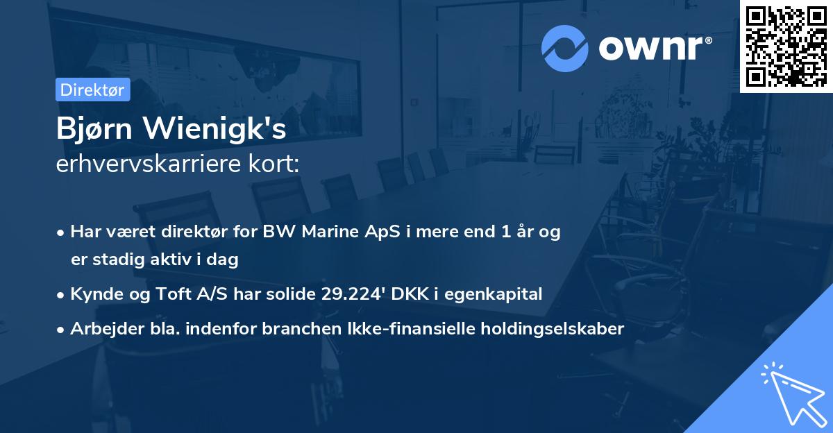 Bjørn Wienigk's erhvervskarriere kort