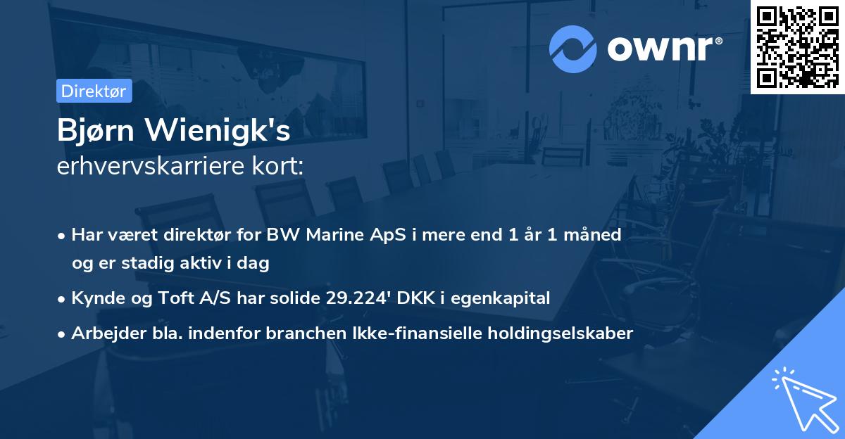 Bjørn Wienigk's erhvervskarriere kort
