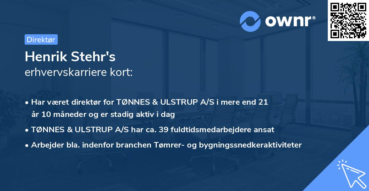 Henrik Stehr's erhvervskarriere kort