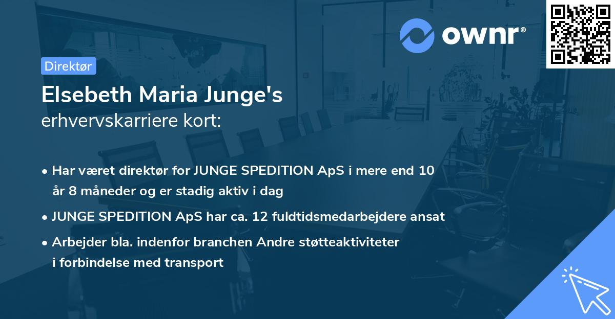 Elsebeth Maria Junge's erhvervskarriere kort