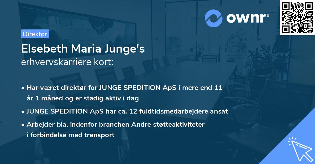 Elsebeth Maria Junge's erhvervskarriere kort