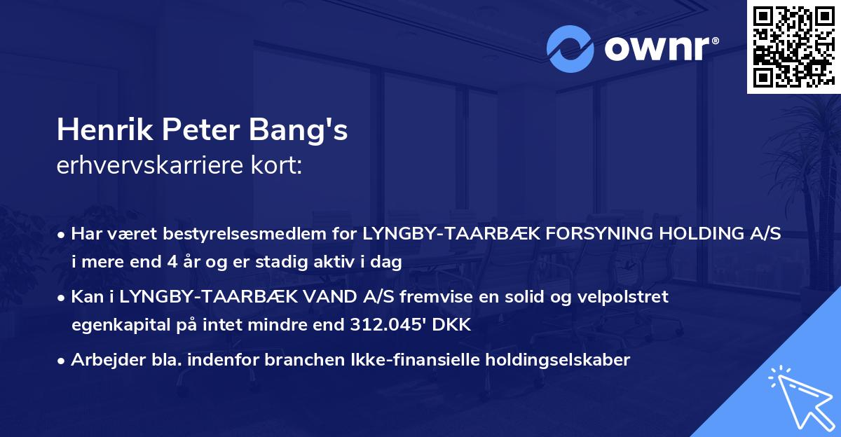Henrik Peter Bang's erhvervskarriere kort