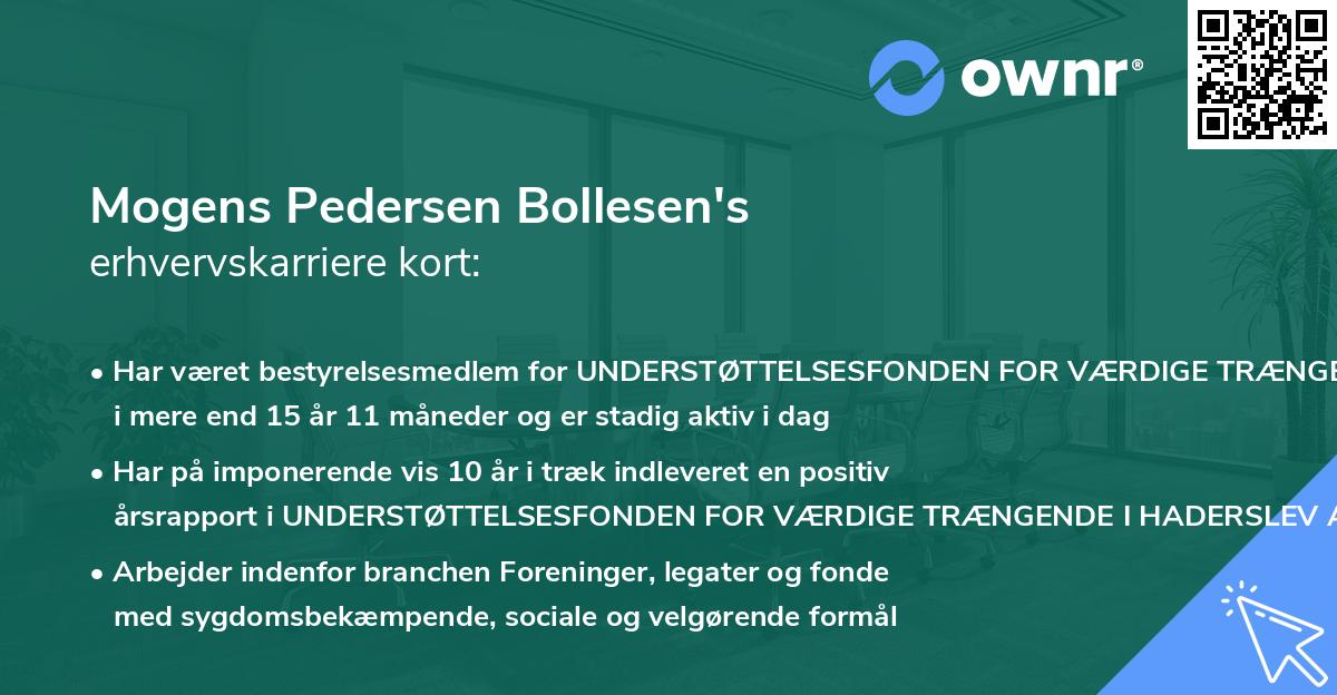 Mogens Pedersen Bollesen's erhvervskarriere kort