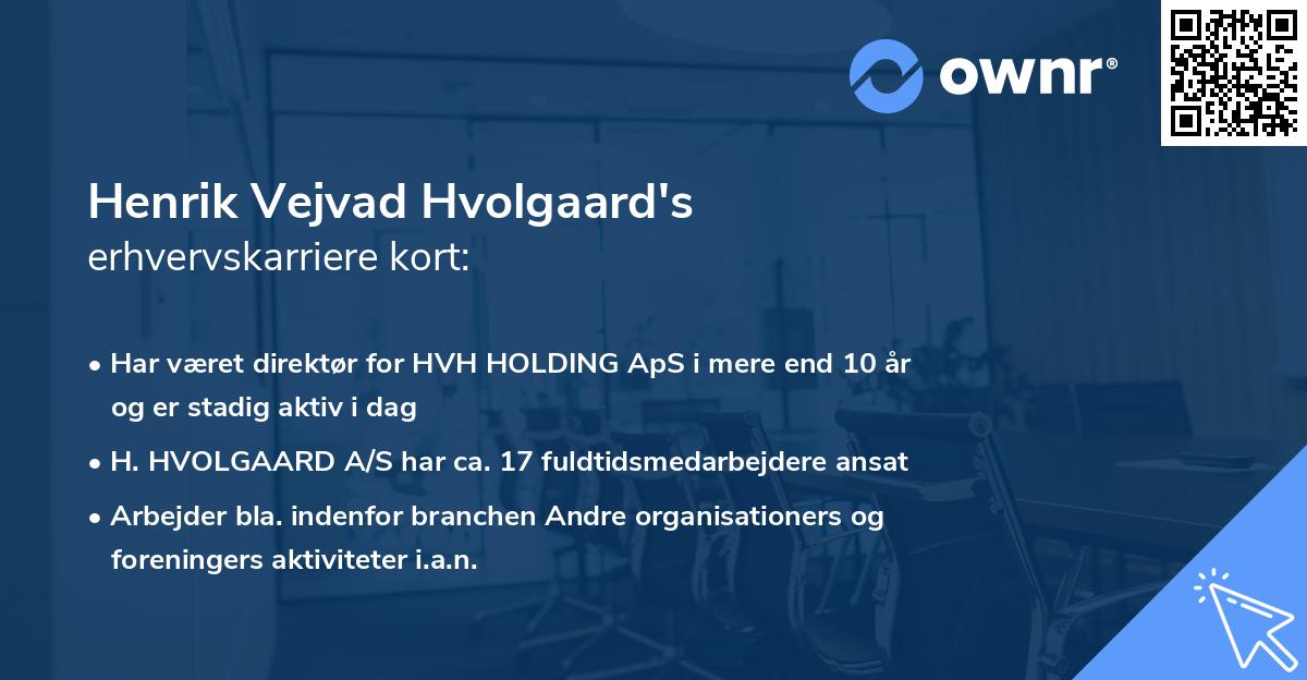 Henrik Vejvad Hvolgaard's erhvervskarriere kort
