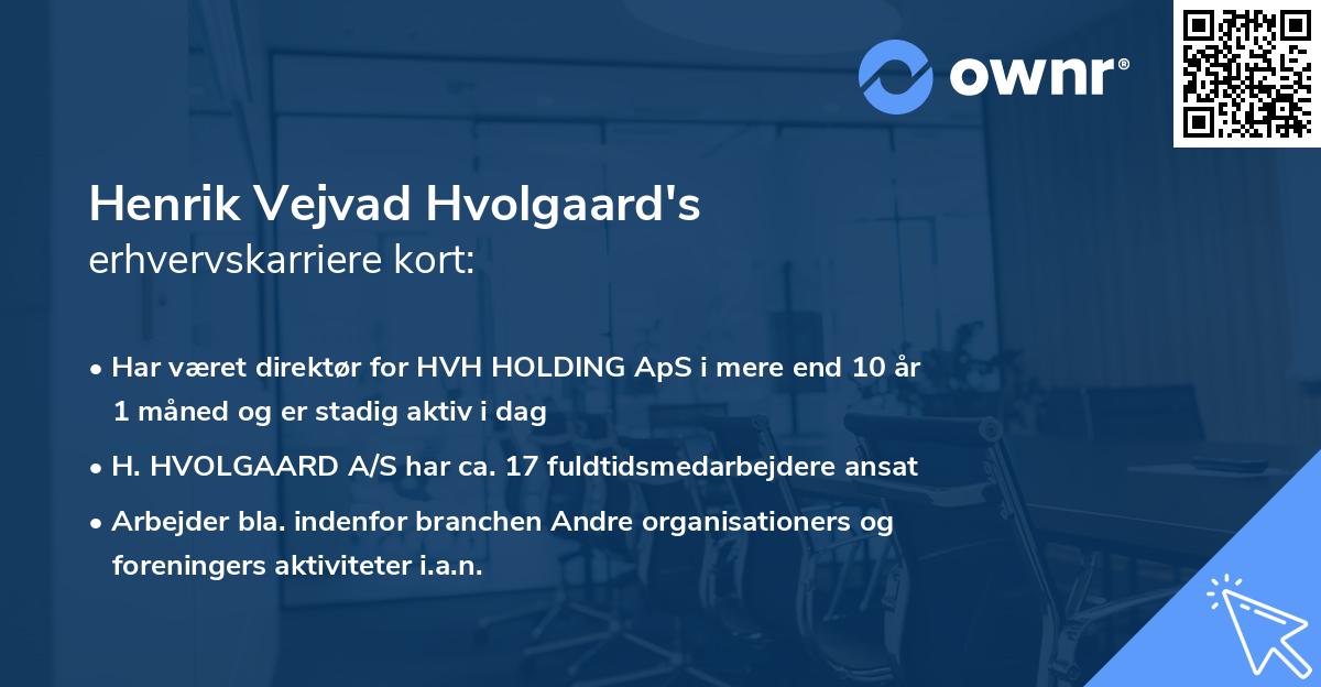 Henrik Vejvad Hvolgaard's erhvervskarriere kort