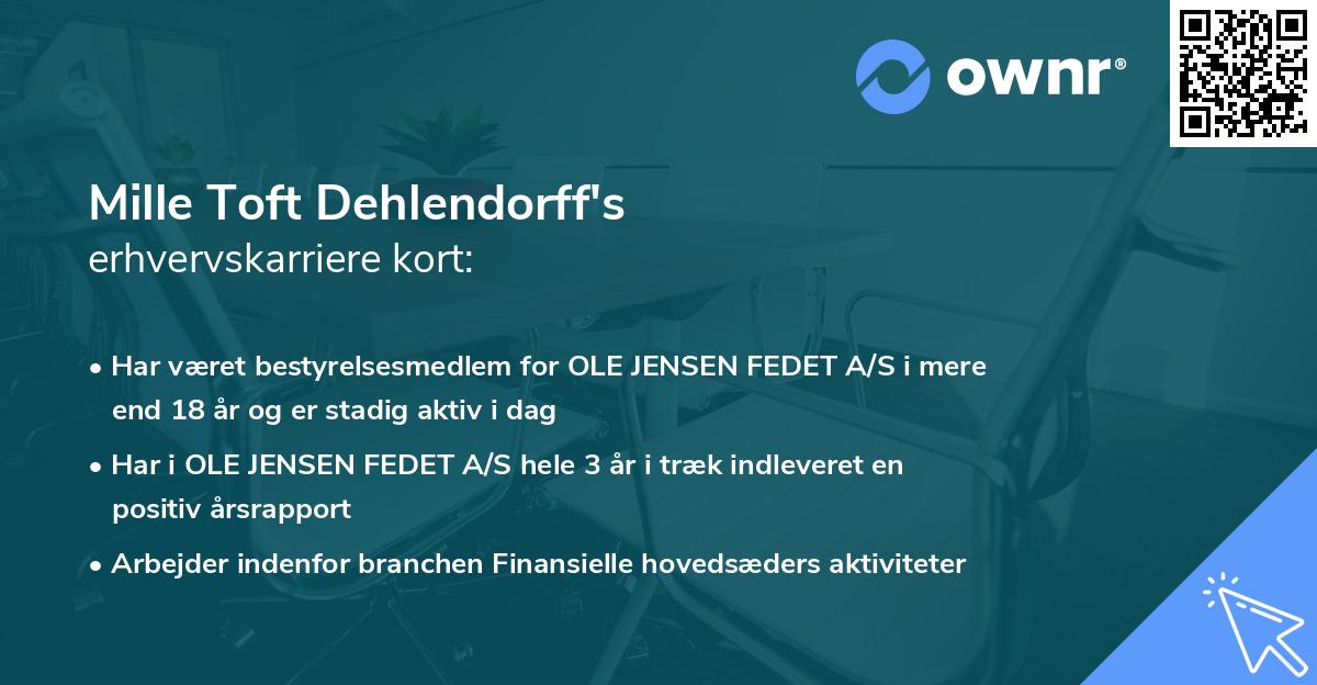 Mille Toft Dehlendorff's erhvervskarriere kort