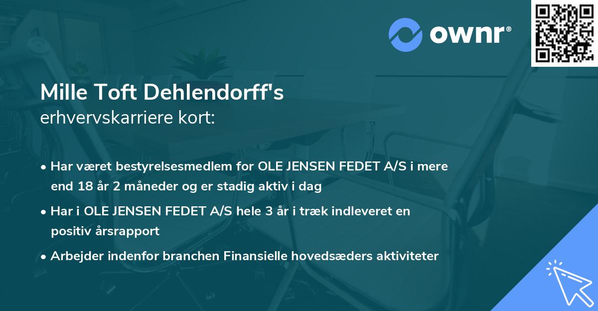 Mille Toft Dehlendorff's erhvervskarriere kort