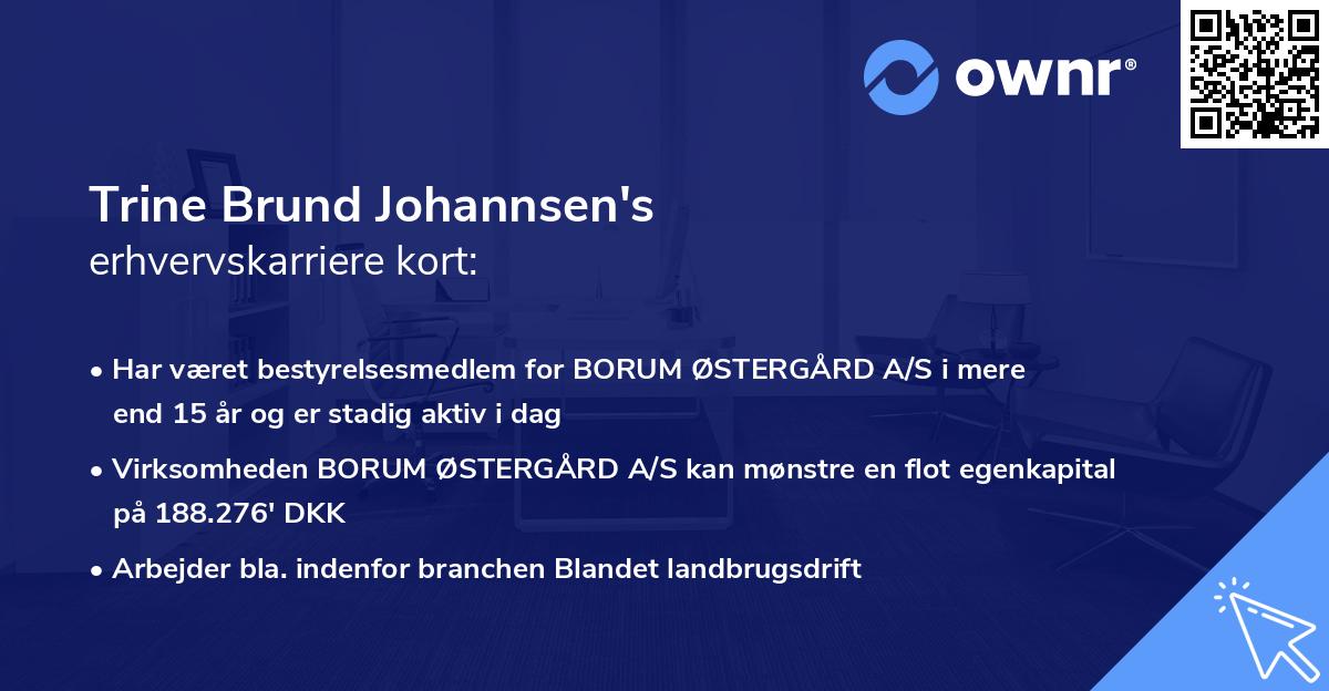 Trine Brund Johannsen's erhvervskarriere kort