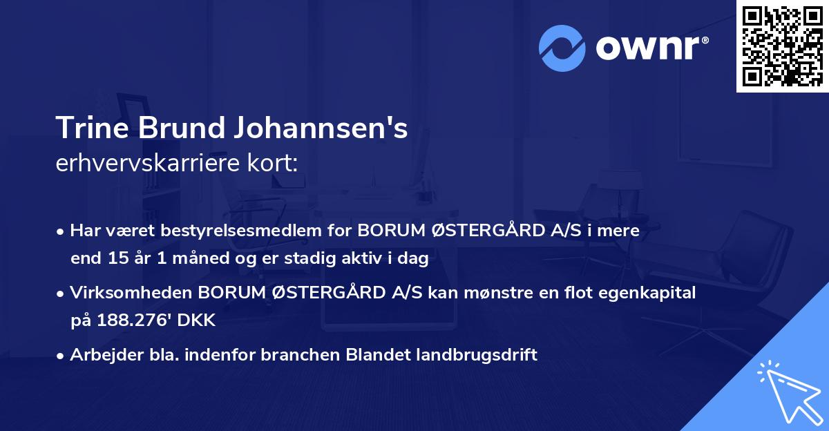 Trine Brund Johannsen's erhvervskarriere kort