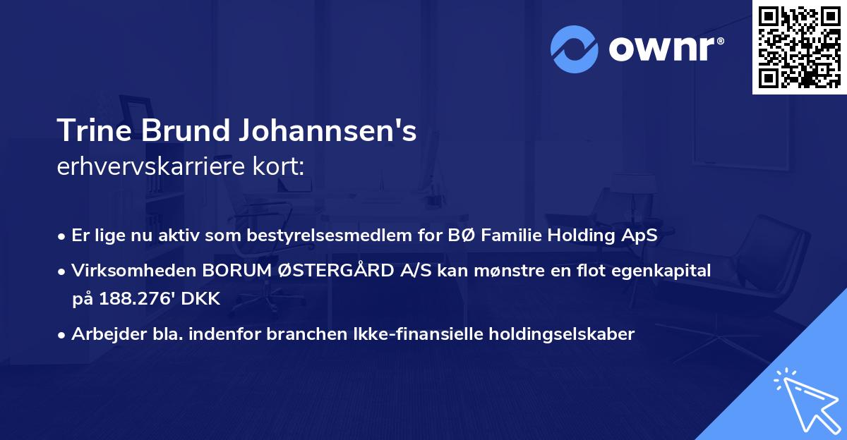 Trine Brund Johannsen's erhvervskarriere kort