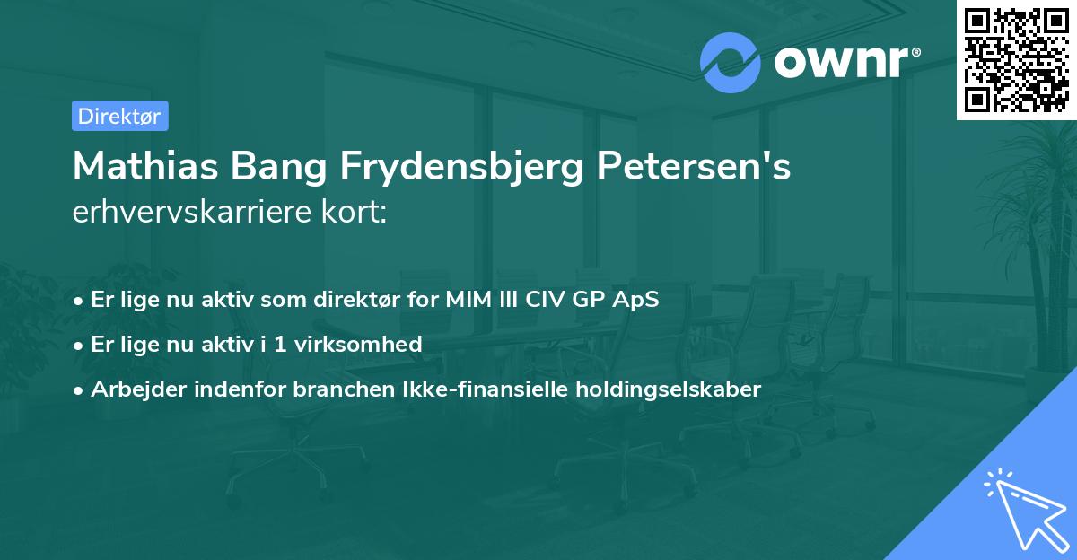 Mathias Bang Frydensbjerg Petersen's erhvervskarriere kort