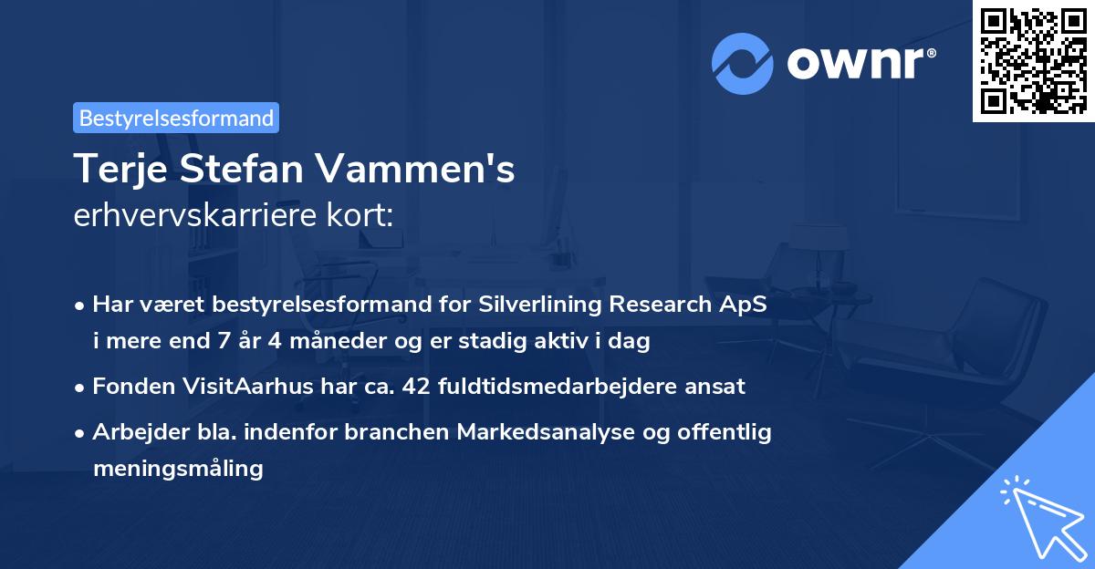 Terje Stefan Vammen's erhvervskarriere kort