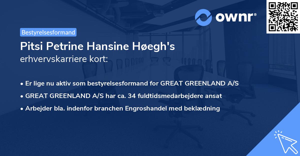 Pitsi Petrine Hansine Høegh's erhvervskarriere kort