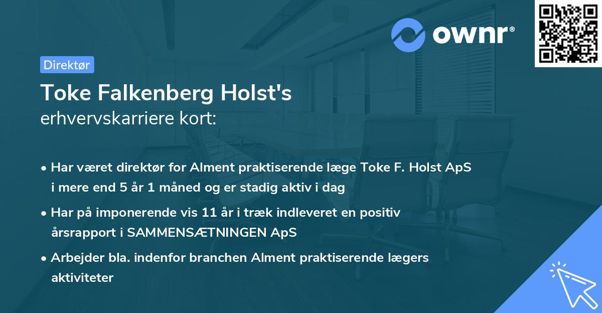 Toke Falkenberg Holst's erhvervskarriere kort
