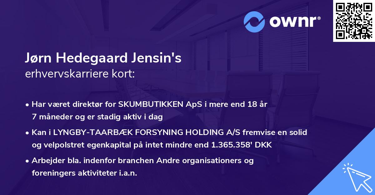 Jørn Hedegaard Jensin's erhvervskarriere kort