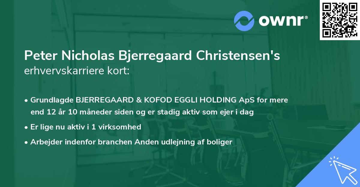 Peter Nicholas Bjerregaard Christensen's erhvervskarriere kort