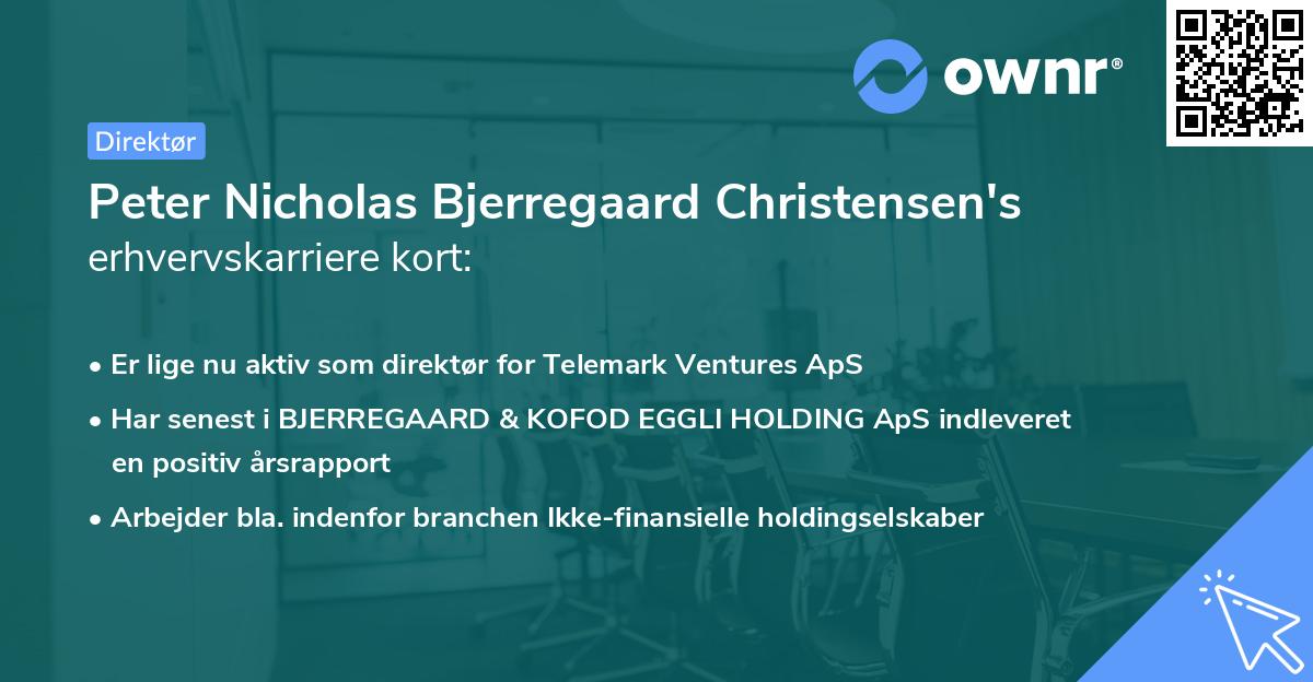 Peter Nicholas Bjerregaard Christensen's erhvervskarriere kort