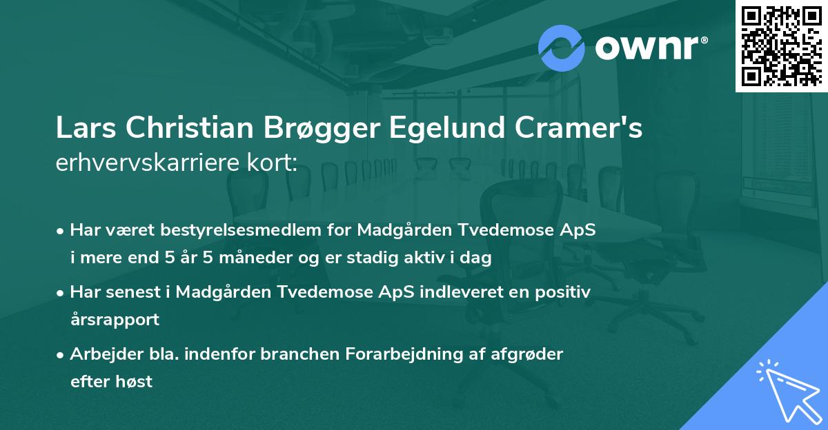 Lars Christian Brøgger Egelund Cramer's erhvervskarriere kort