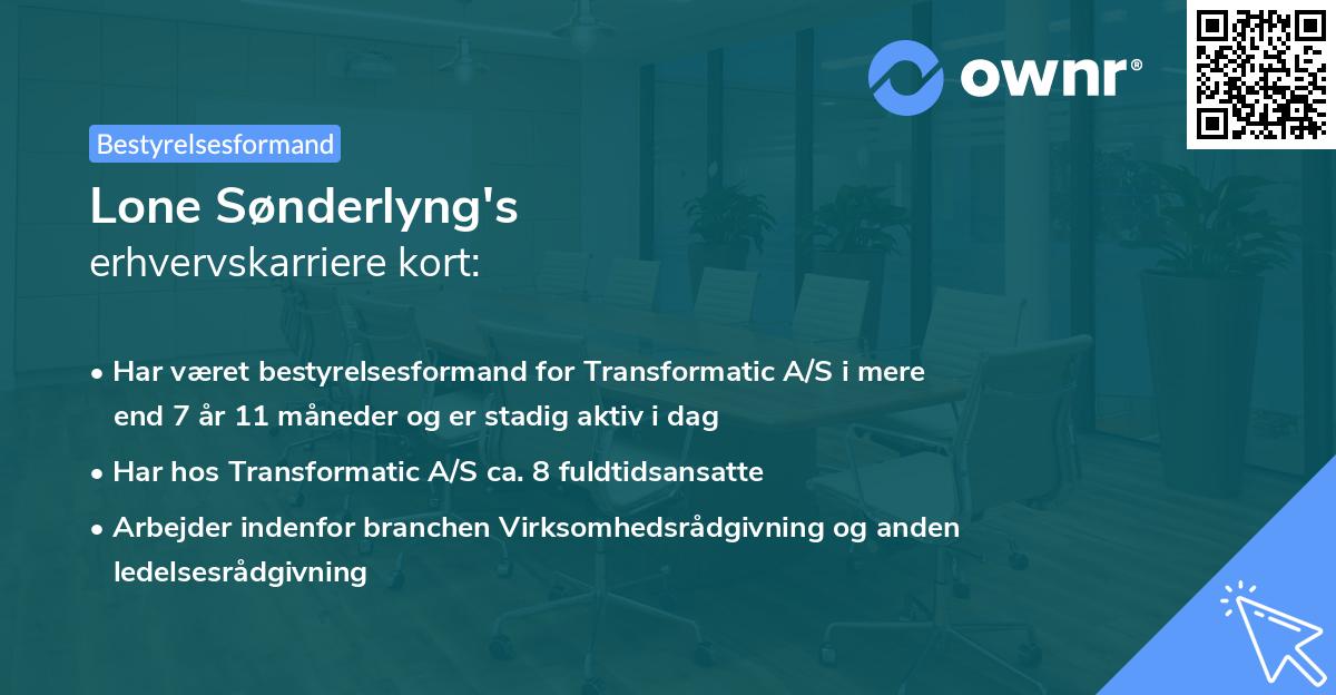 Lone Sønderlyng's erhvervskarriere kort