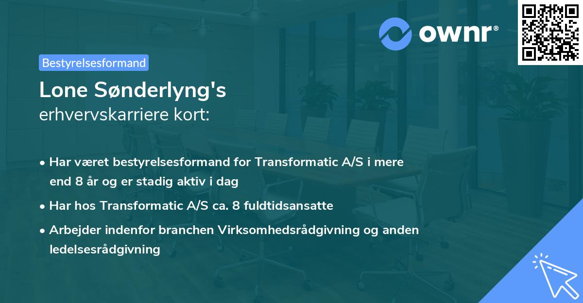 Lone Sønderlyng's erhvervskarriere kort