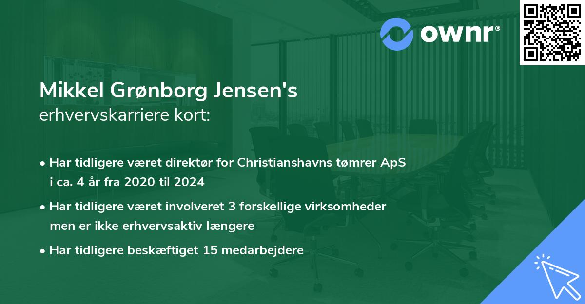 Mikkel Grønborg Jensen's erhvervskarriere kort