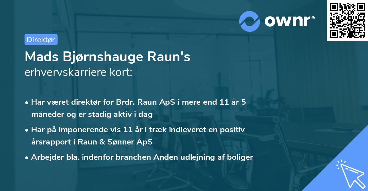 Mads Bjørnshauge Raun's erhvervskarriere kort