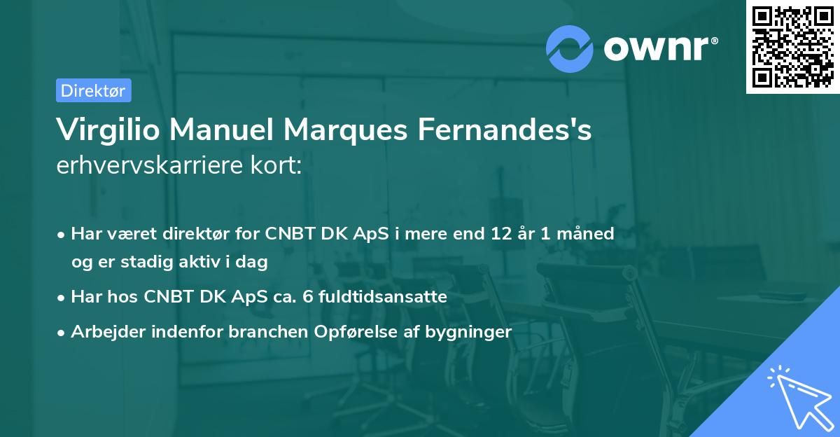 Virgilio Manuel Marques Fernandes's erhvervskarriere kort