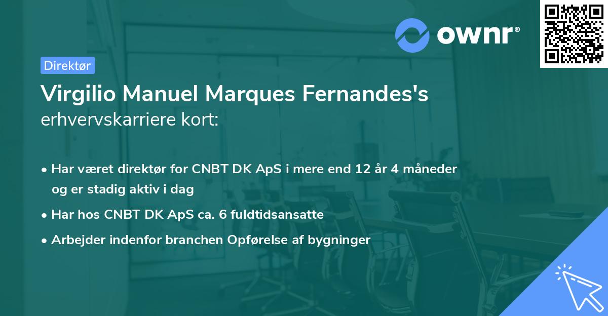 Virgilio Manuel Marques Fernandes's erhvervskarriere kort