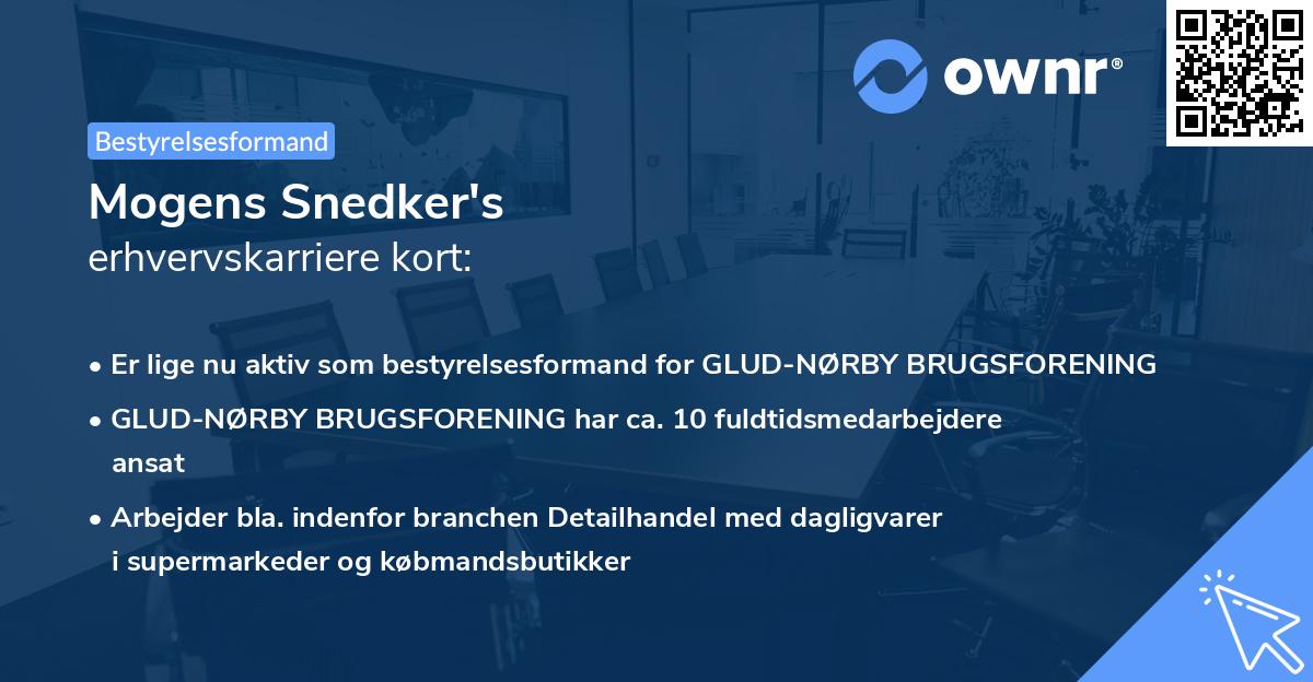 Mogens Snedker's erhvervskarriere kort