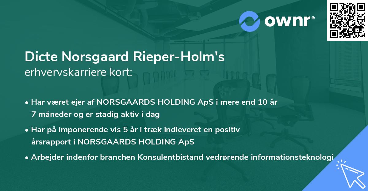 Dicte Norsgaard Rieper-Holm's erhvervskarriere kort