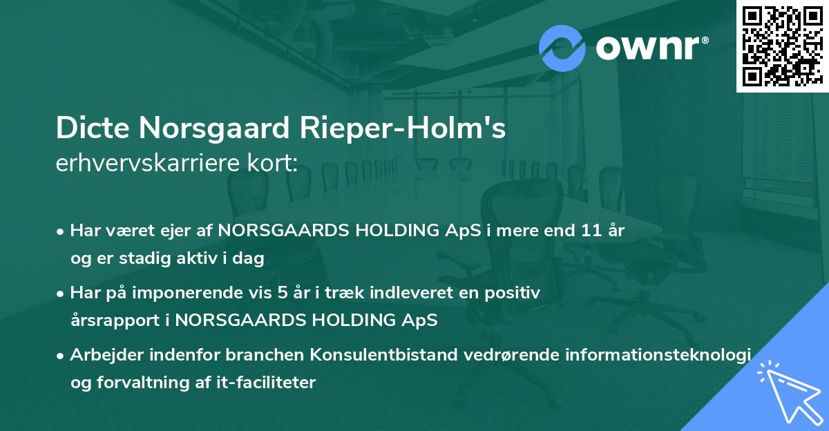 Dicte Norsgaard Rieper-Holm's erhvervskarriere kort