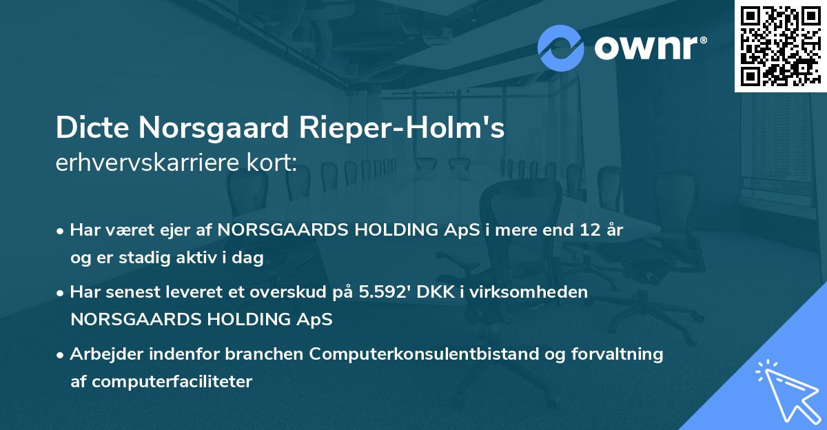 Dicte Norsgaard Rieper-Holm's erhvervskarriere kort