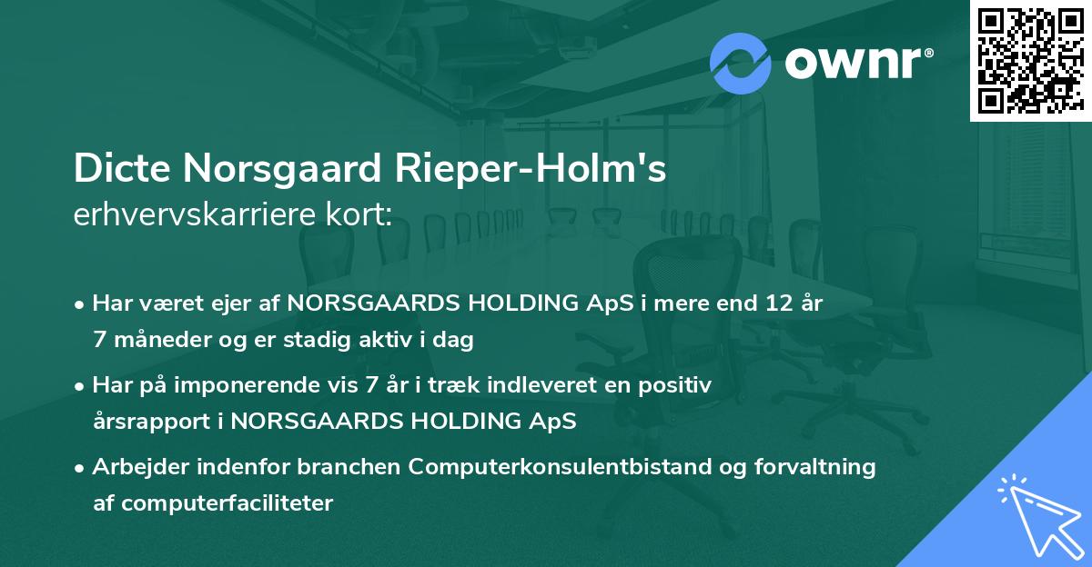 Dicte Norsgaard Rieper-Holm's erhvervskarriere kort