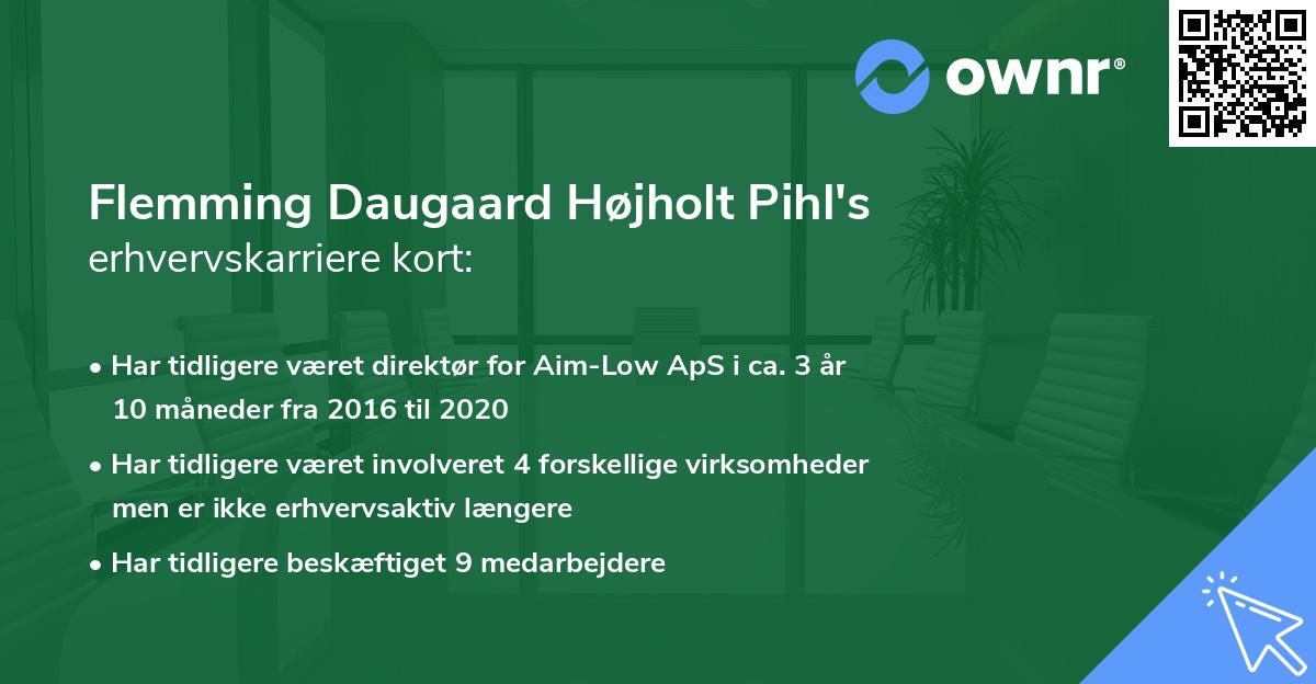 Flemming Daugaard Højholt Pihl's erhvervskarriere kort