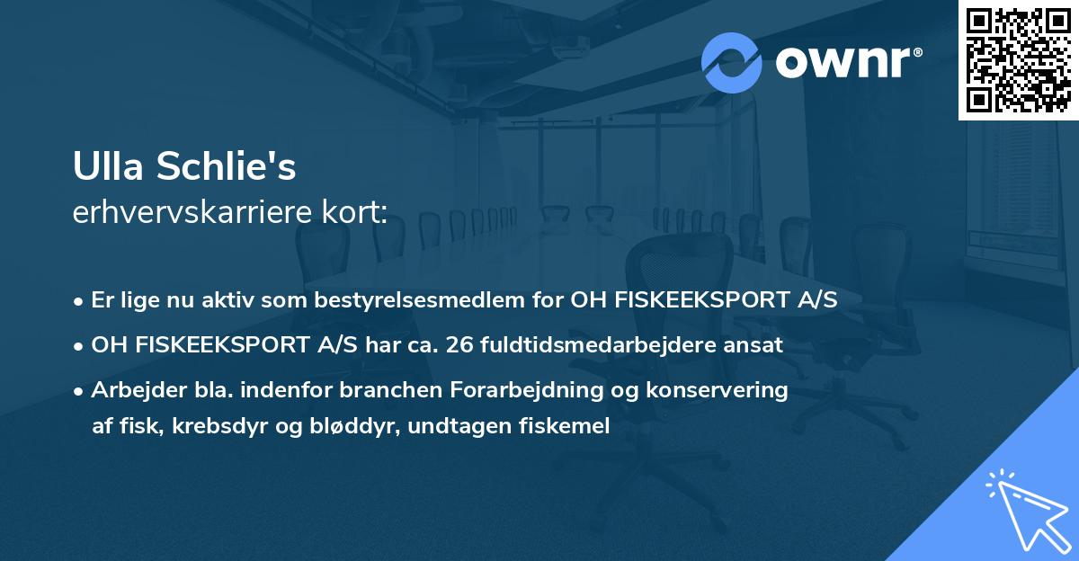 Ulla Schlie's erhvervskarriere kort
