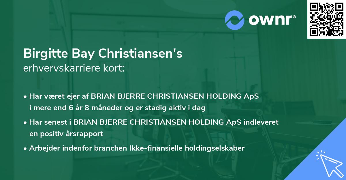 Birgitte Bay Christiansen's erhvervskarriere kort