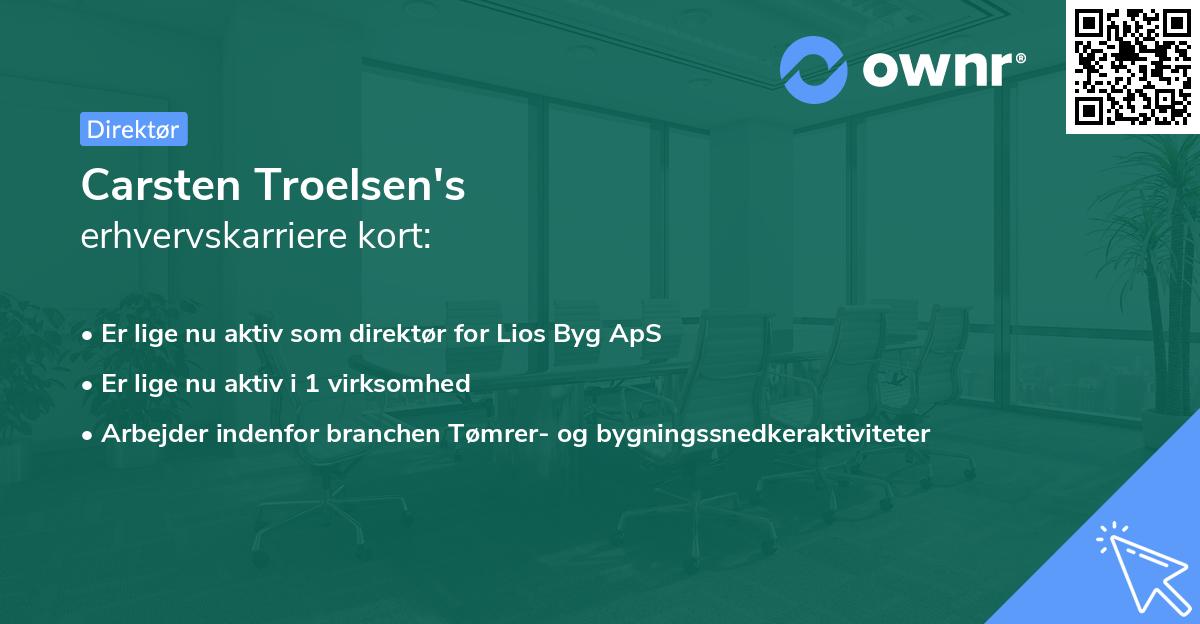 Carsten Troelsen's erhvervskarriere kort