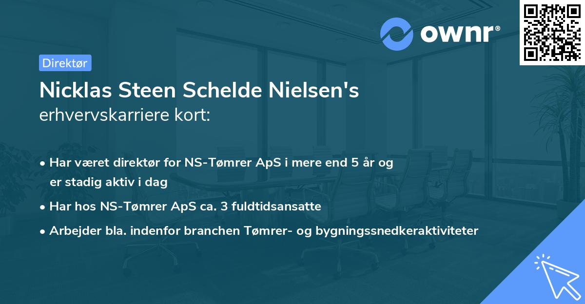 Nicklas Steen Schelde Nielsen's erhvervskarriere kort