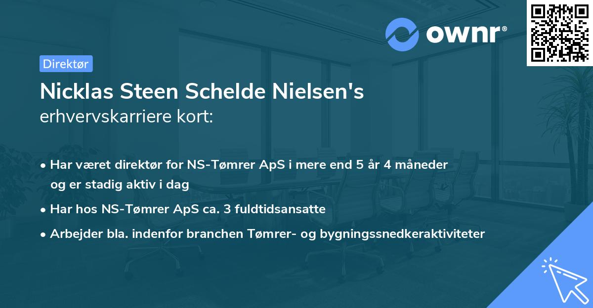 Nicklas Steen Schelde Nielsen's erhvervskarriere kort