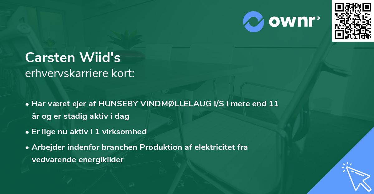 Carsten Wiid's erhvervskarriere kort