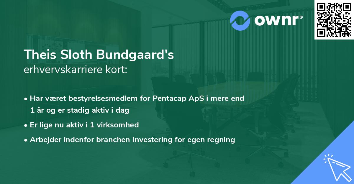 Theis Sloth Bundgaard's erhvervskarriere kort